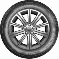 255/50 R20 109V Triangle SnowLink PL02 XL