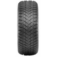 255/50 R19 107T DoubleStar DW09