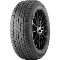 255/50 R19 107T DoubleStar DW09