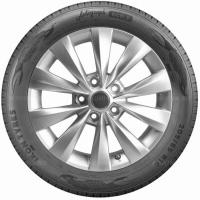 195/60 R15 88H Ikon / Nokian Tyres Autograph Eco 3